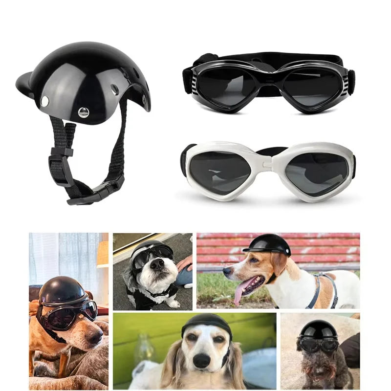 PawGear Moto Pup Helmet & Shades Set