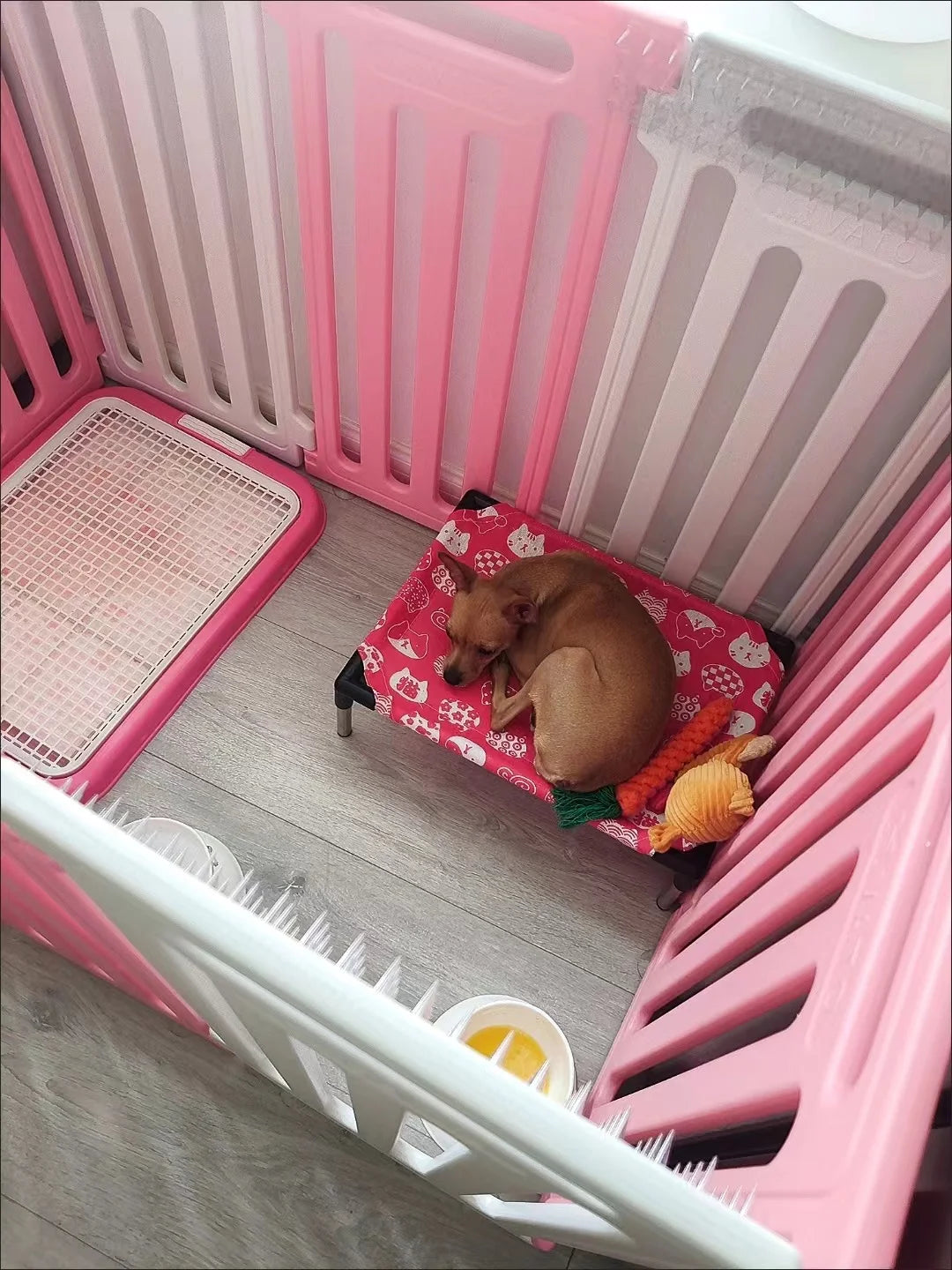BarkBreeze Camp Cot
