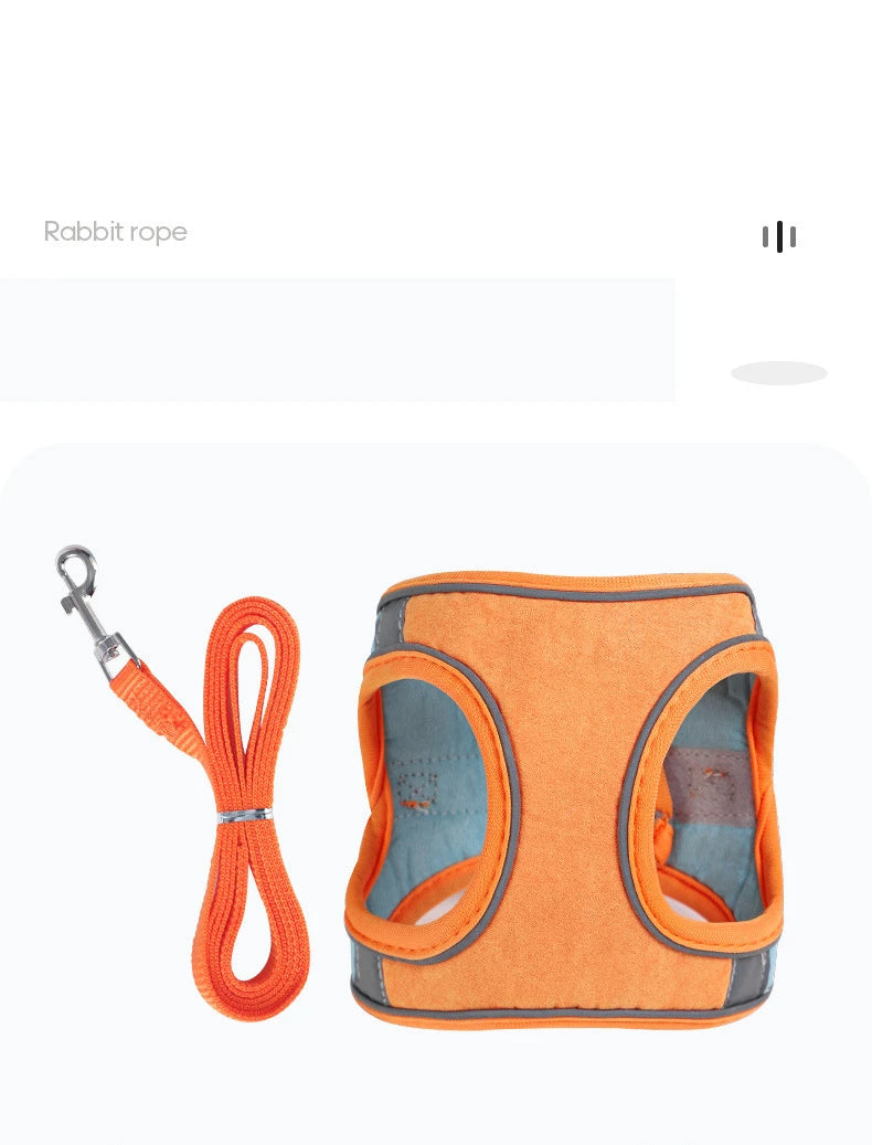 BunnyTrek Adventure Harness Set