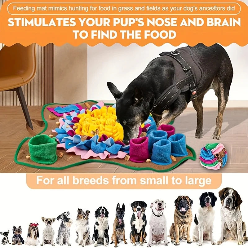 Sniff & Seek Adventure Mat