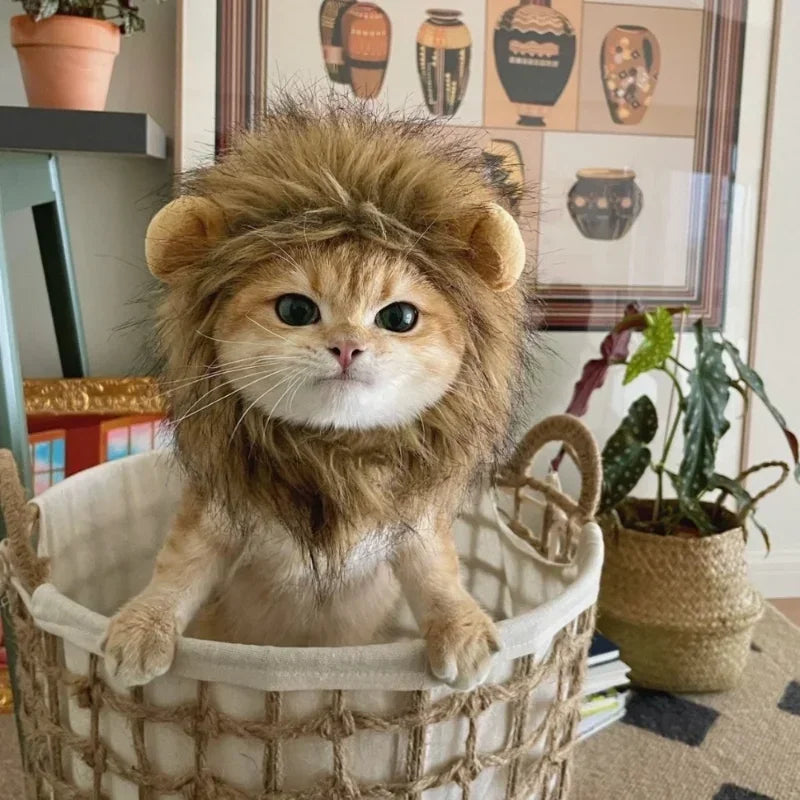 Roar & Purr Lion Mane Wig