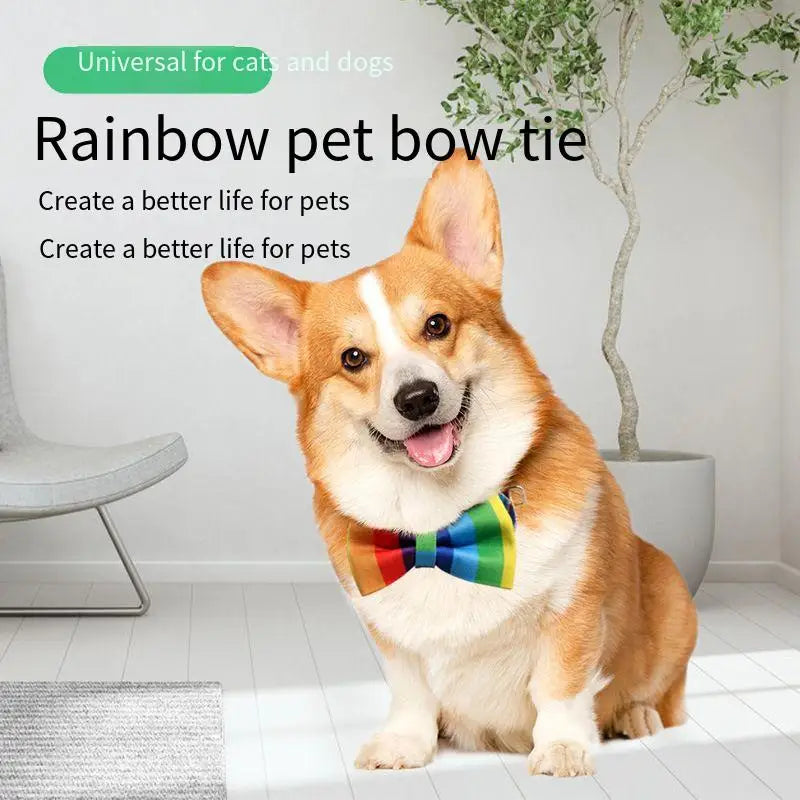 PridePaws Rainbow Collar