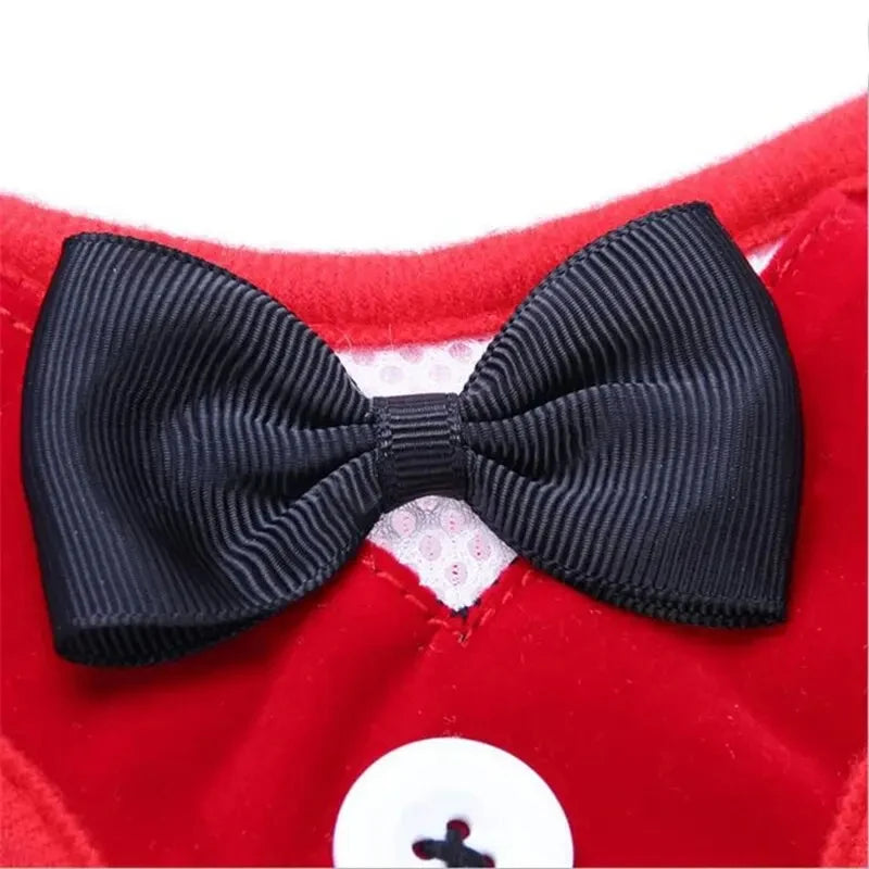 DapperPaws Tux Set