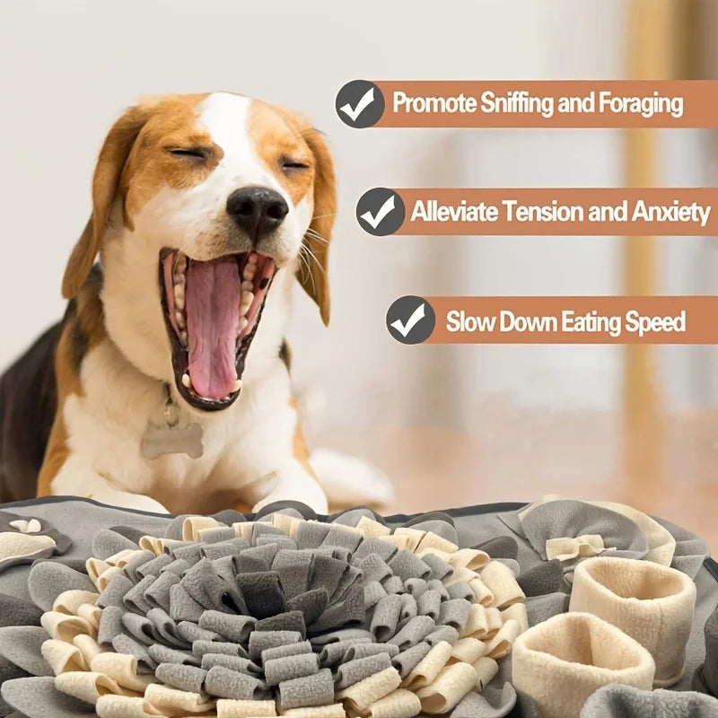 Sniff & Snack Adventure Mat