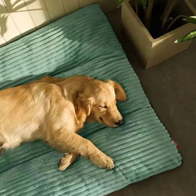Plush Dog Bed