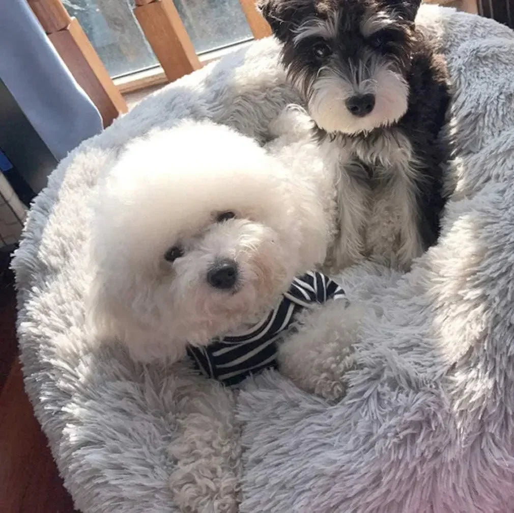 FluffNest Cozy Bed
