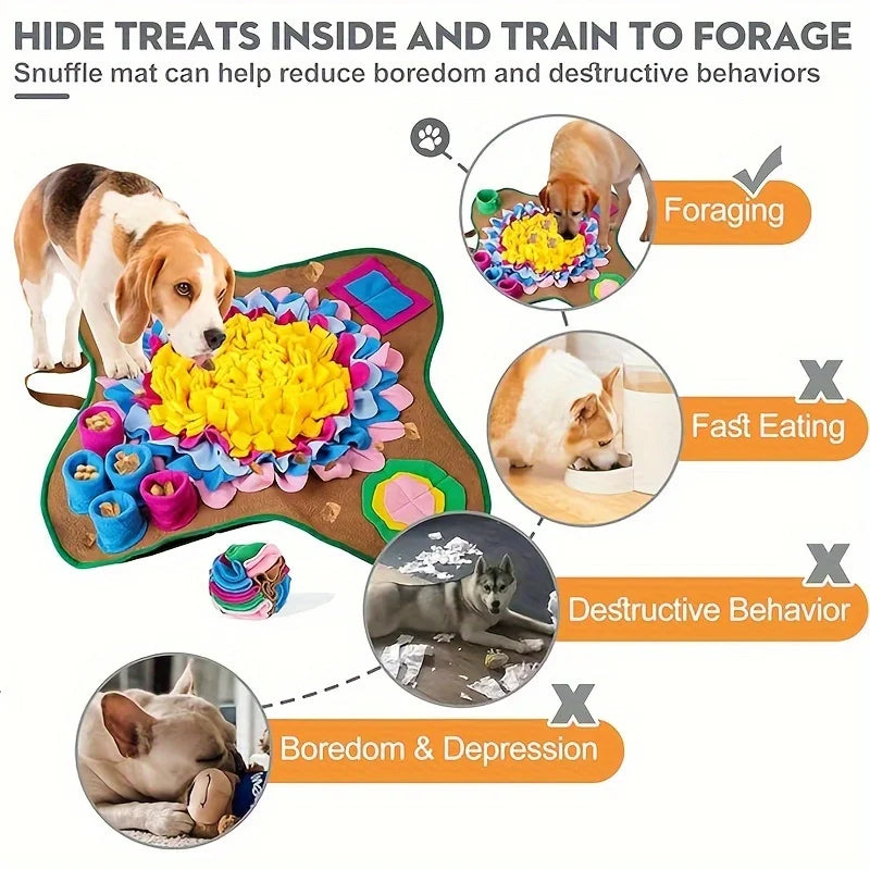 Sniff & Seek Adventure Mat