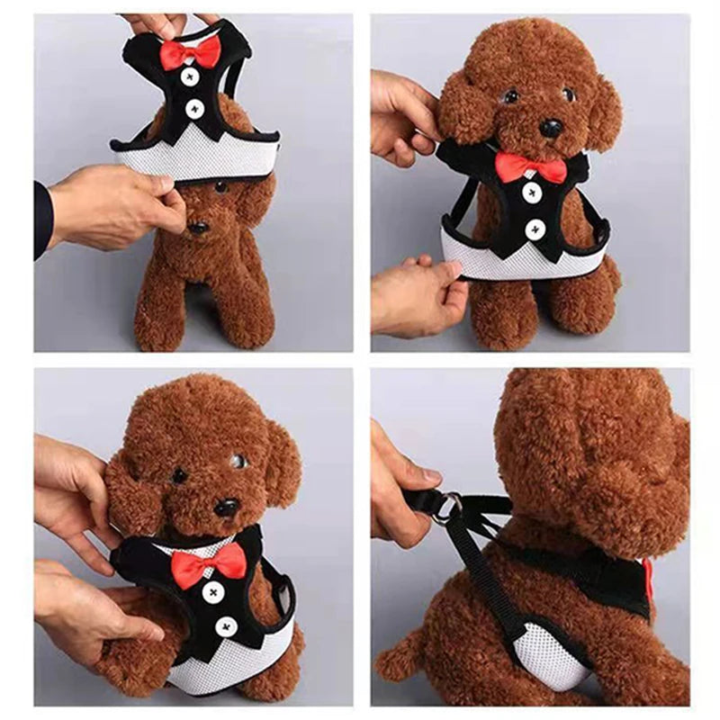 DapperPaws Tux Set