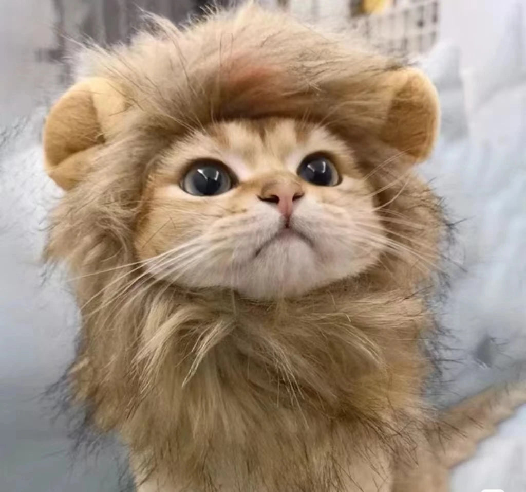 Roar & Purr Lion Mane Wig