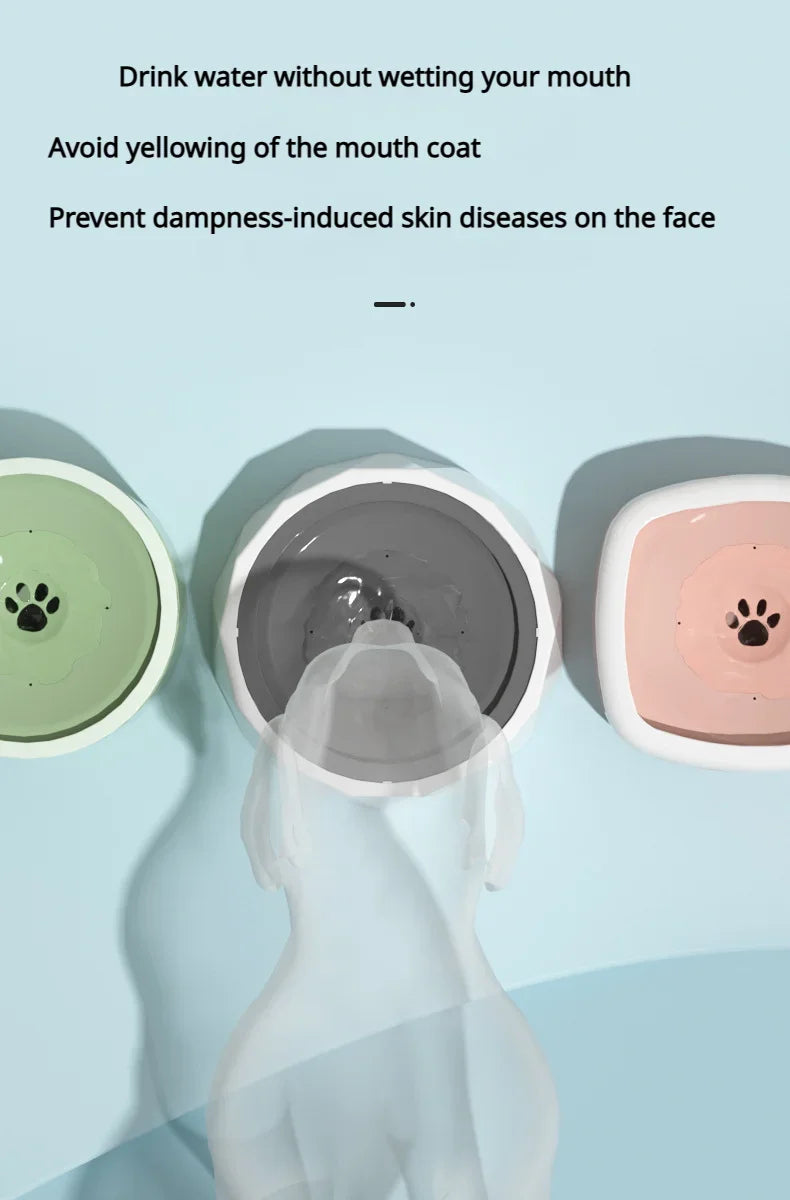 SipSavvy I Splash-Free Pet Hydration Bowl