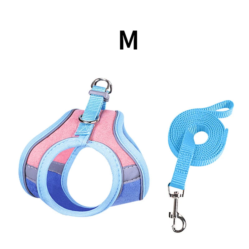 BunnyTrek Adventure Harness Set