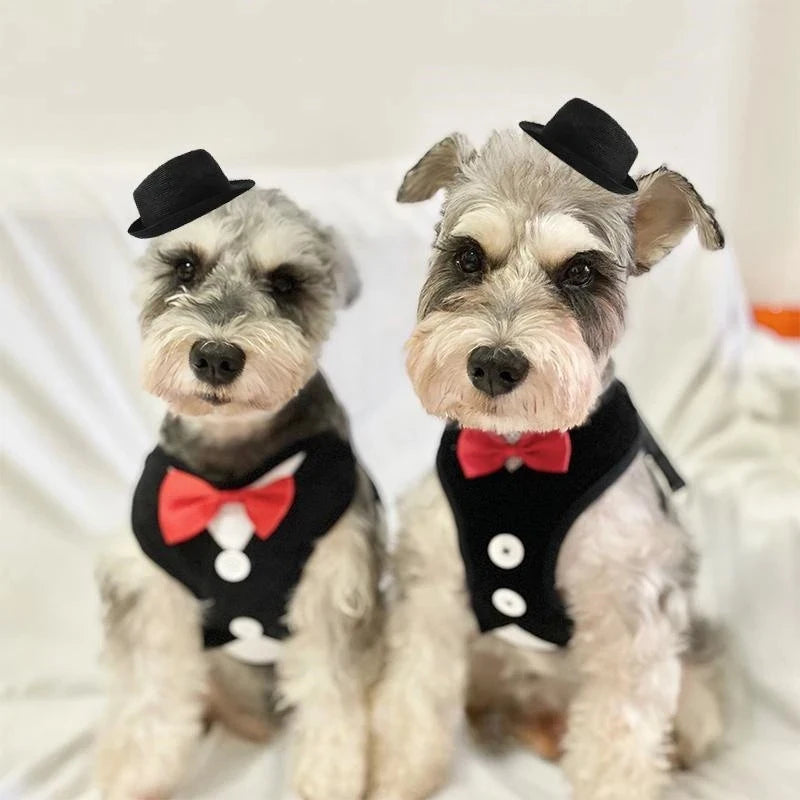 DapperPaws Tux Set