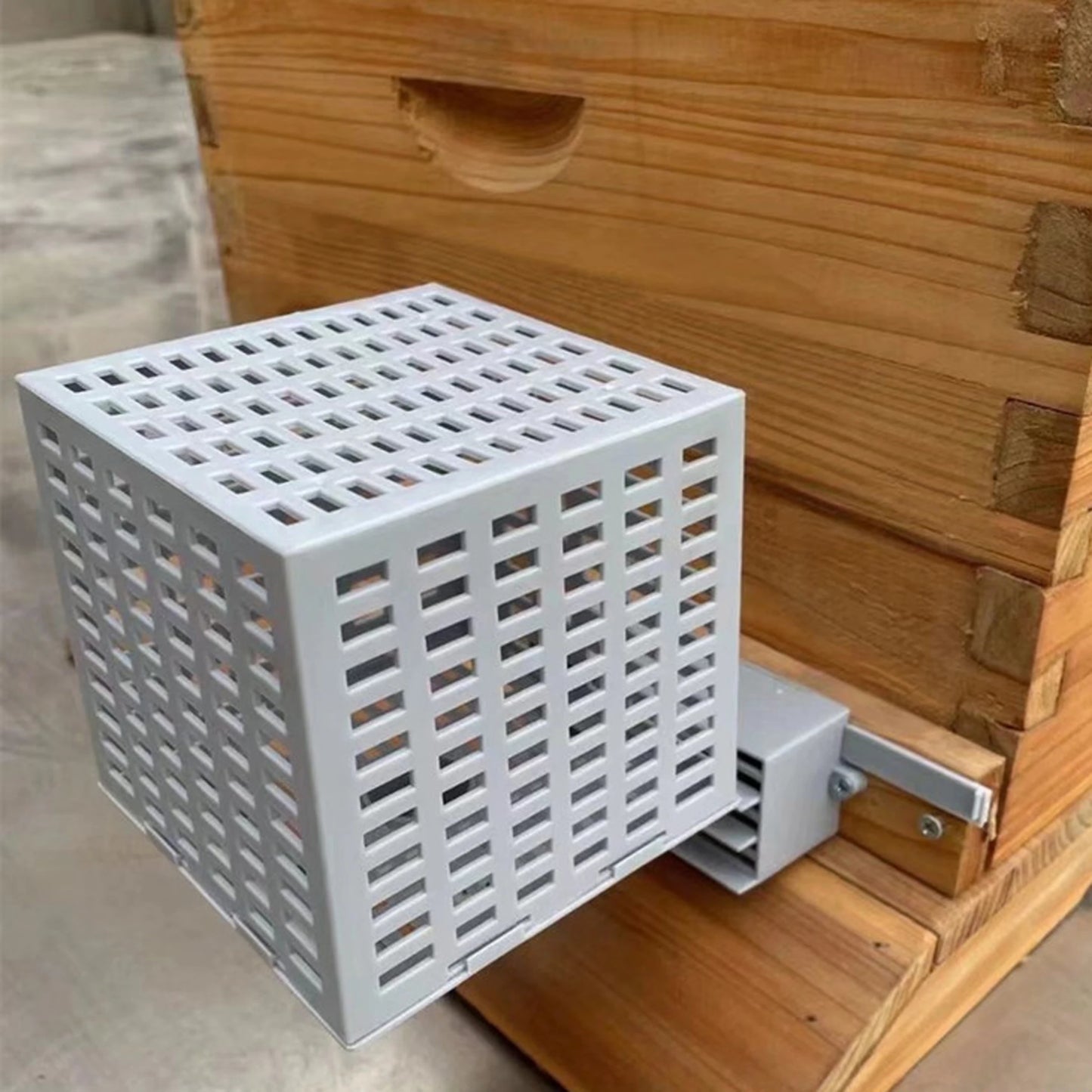 BuzzBarrier Queen Catcher