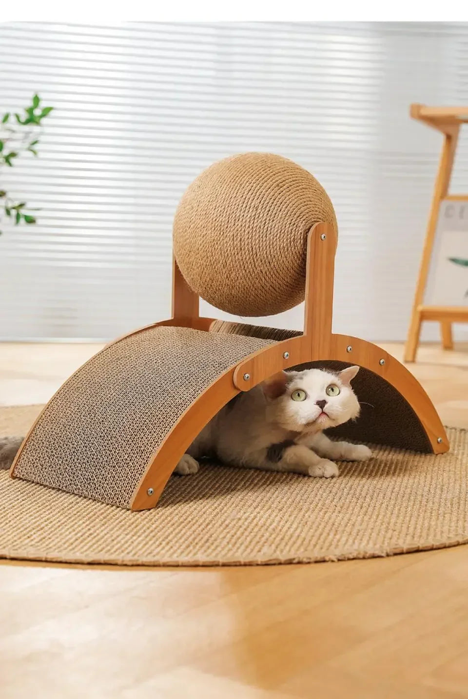 Scratch 'n’ Roll - Wooden Kitten Scratching Ball and scratch pad