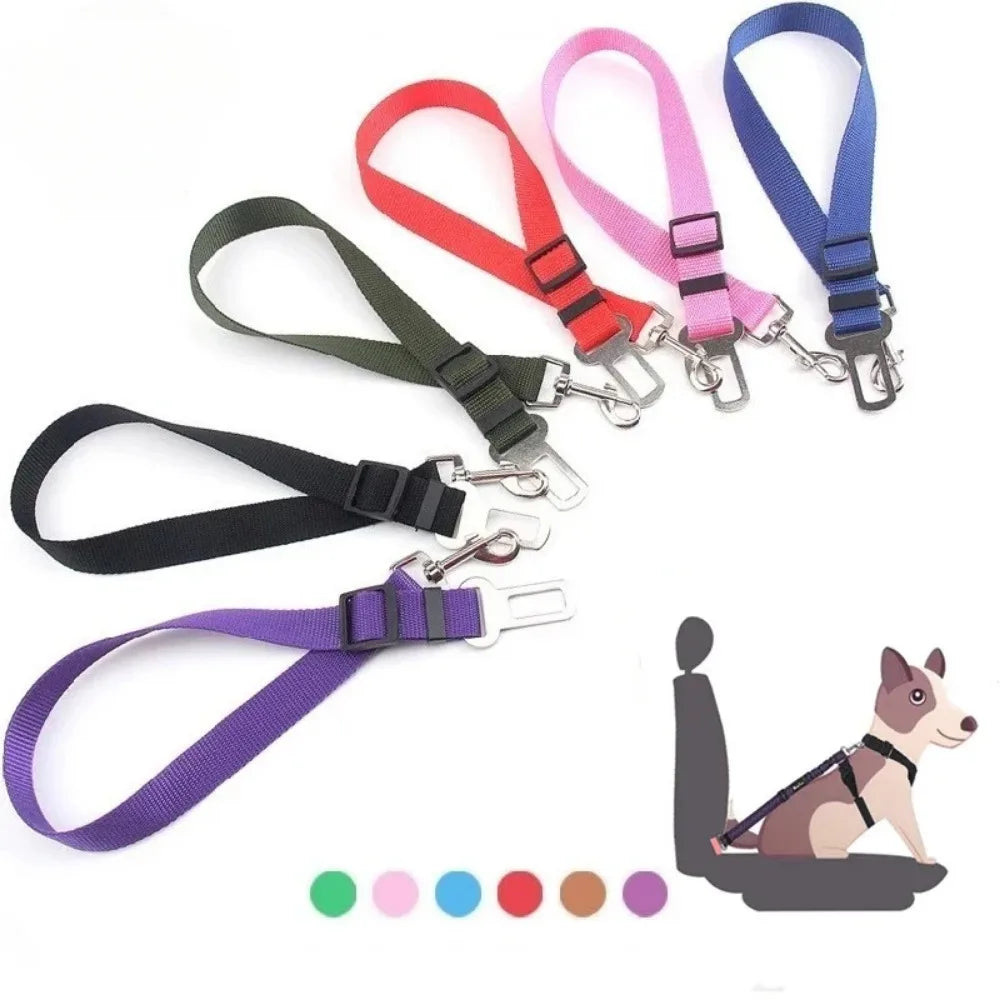 Sit, Stay & Buckle Pet Car Safety Belt
