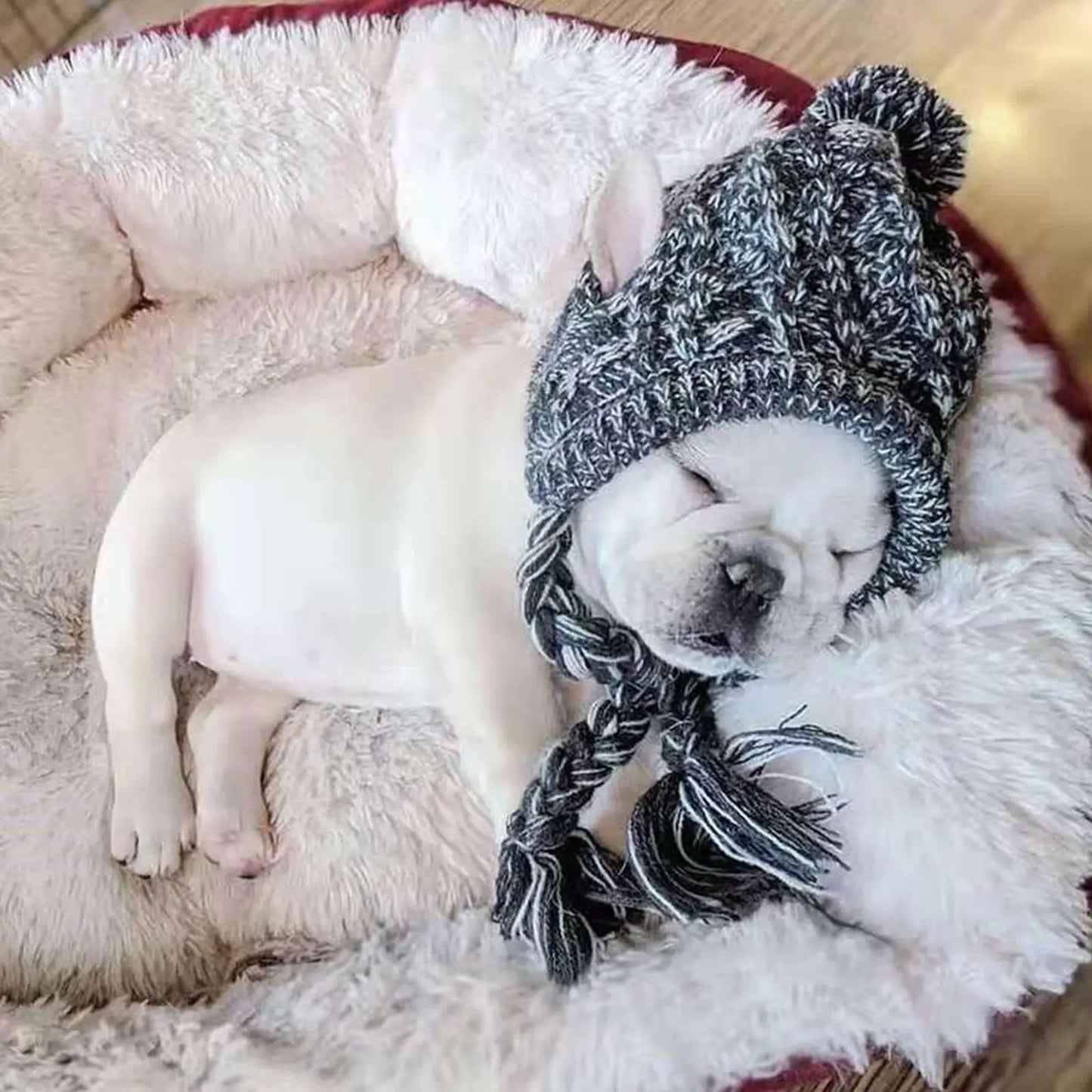 SnuggleNoggin Winter Dog Hat