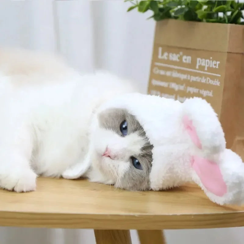 BunnyWhiskers Cozy Cat Hat