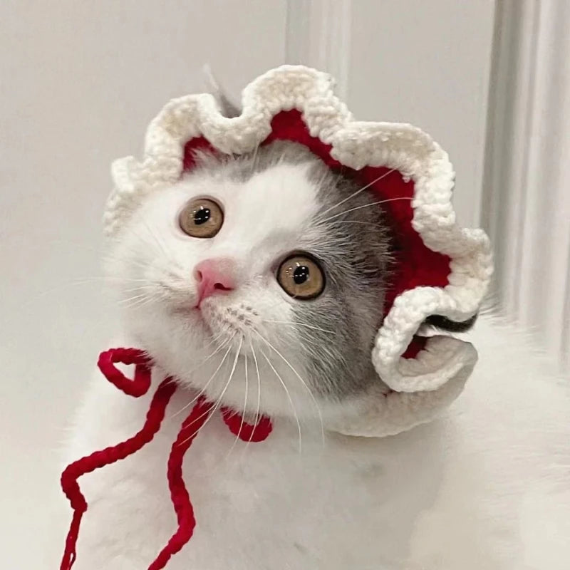 Meowdorable Knit Cosplay Hat