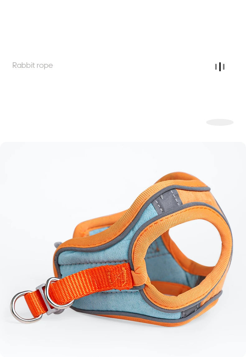 BunnyTrek Adventure Harness Set