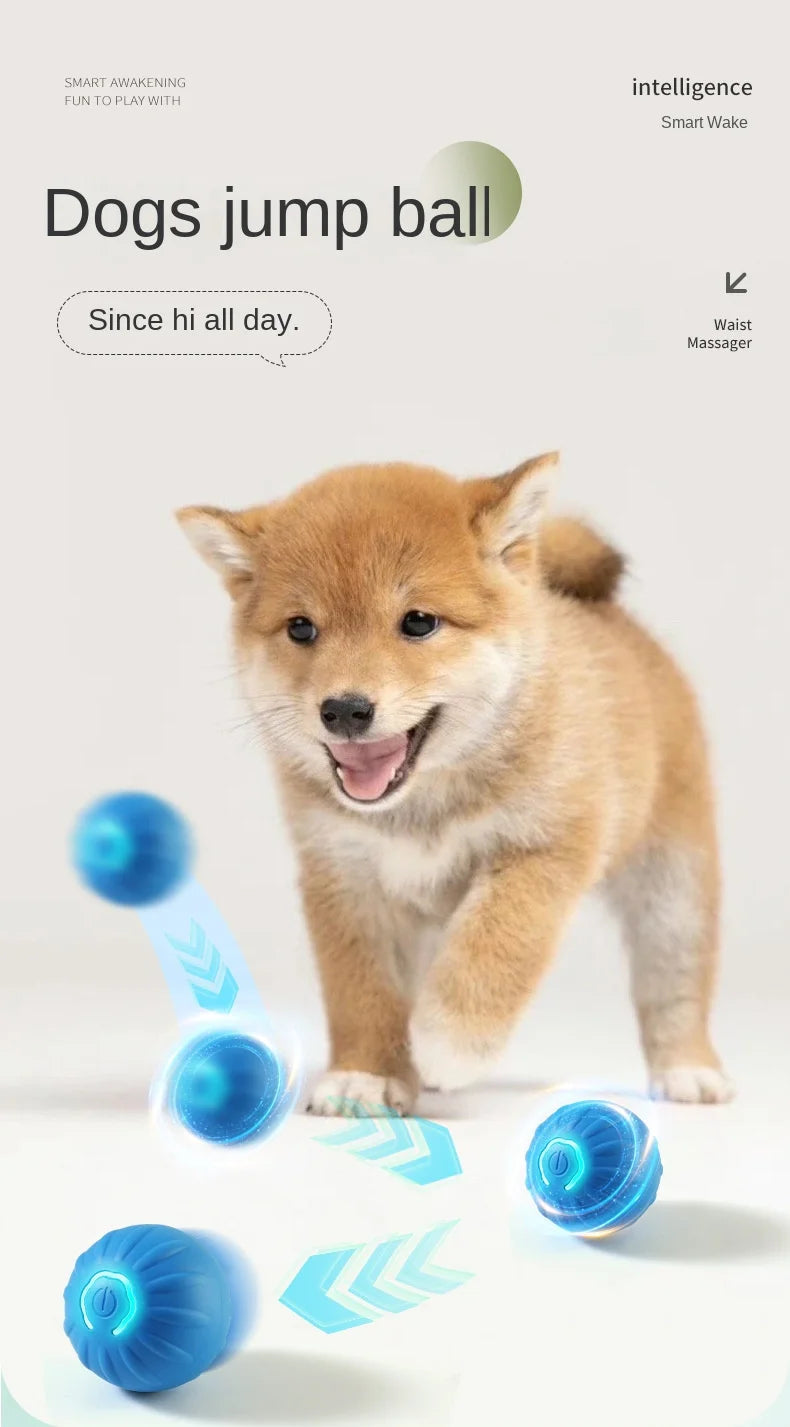 BarkBolt – The Smart Rolling Wonder Ball