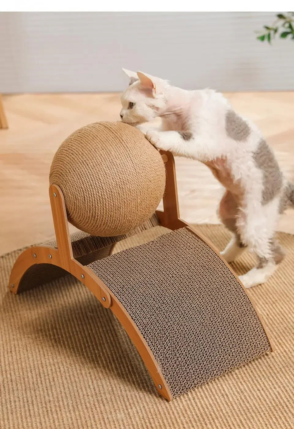 Scratch 'n’ Roll - Wooden Kitten Scratching Ball and scratch pad