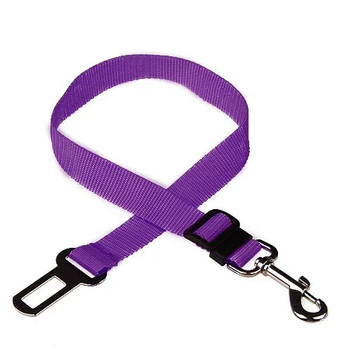 Sit, Stay & Buckle Pet Car Safety Belt