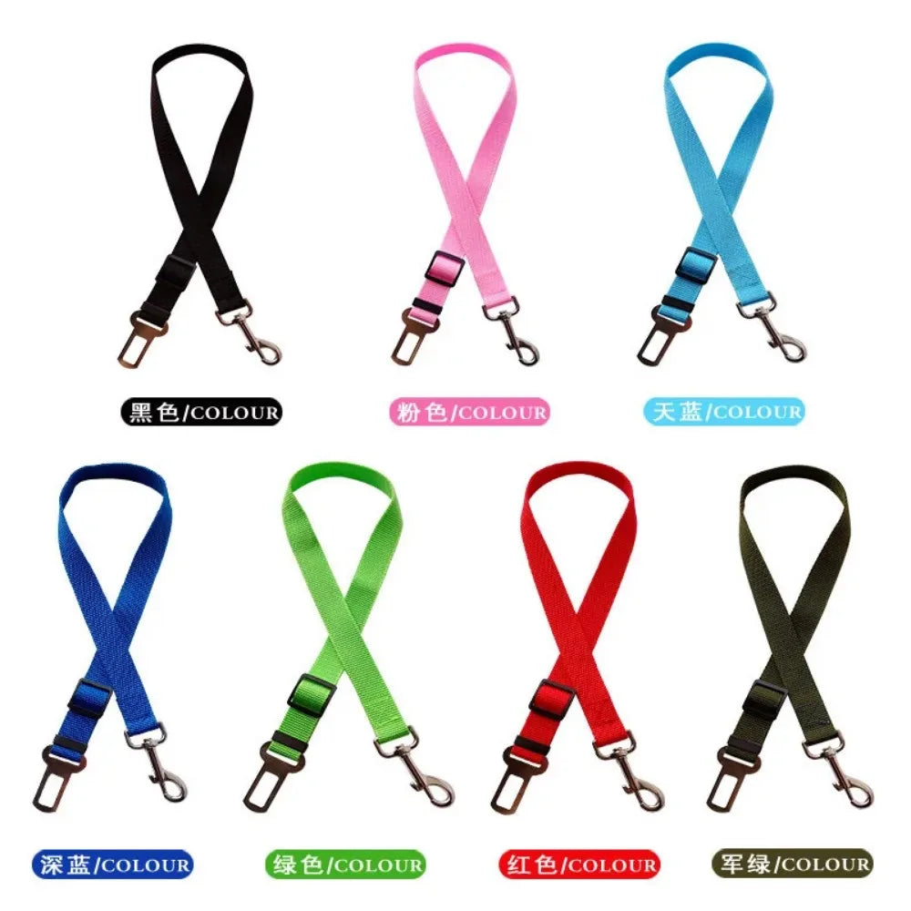 Sit, Stay & Buckle Pet Car Safety Belt