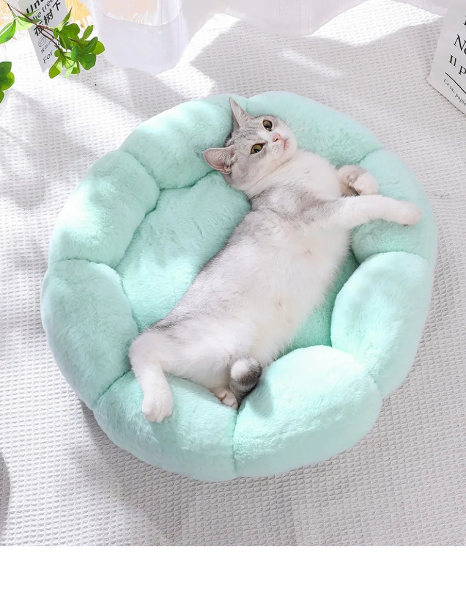 BloomNest Plush Pet Bed