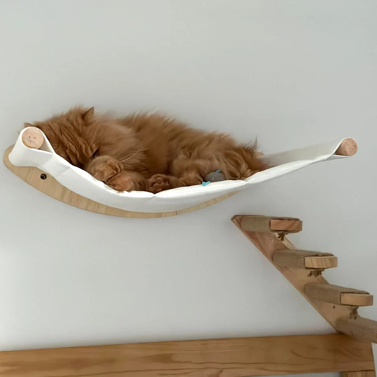 SkyHigh™ Cat Climbing Shelves