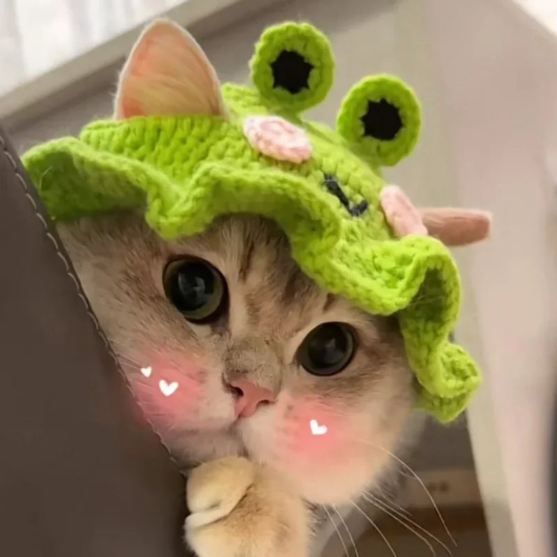 Meowdorable Knit Cosplay Hat