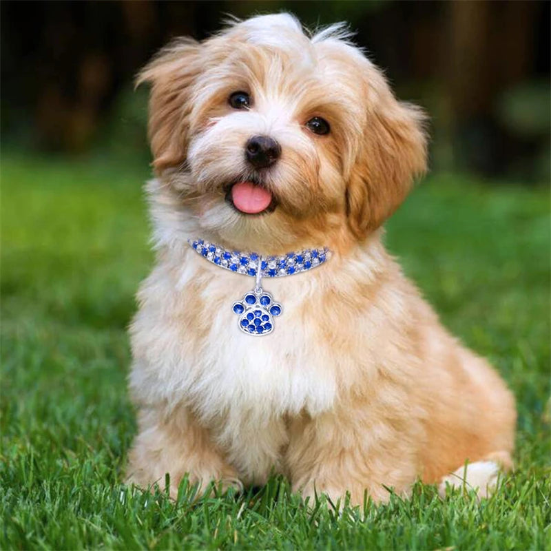 Bark & Bling Sparkle Collar