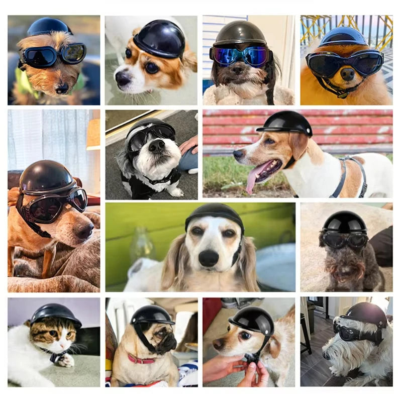 PawGear Moto Pup Helmet & Shades Set