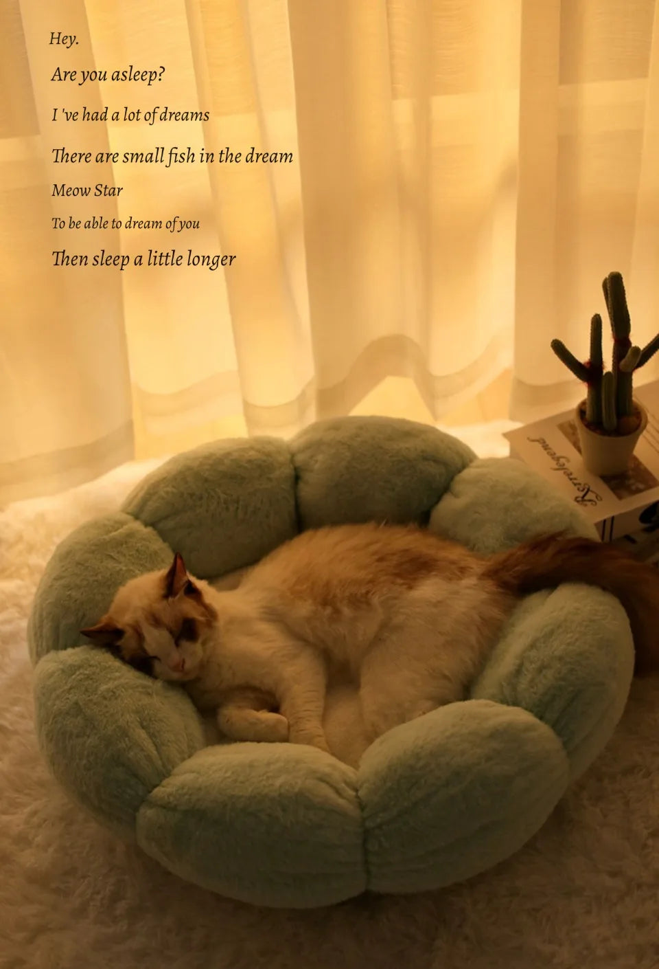 BloomNest Plush Pet Bed