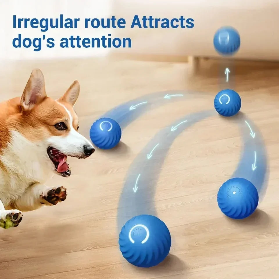 BarkBolt – The Smart Rolling Wonder Ball