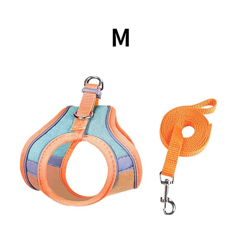 BunnyTrek Adventure Harness Set