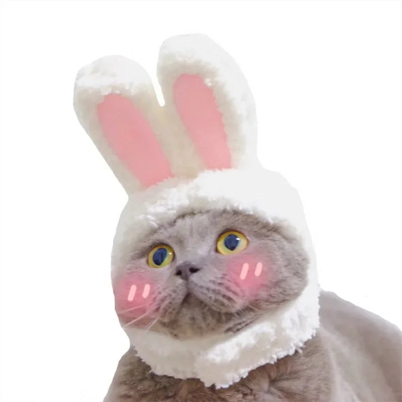 BunnyWhiskers Cozy Cat Hat