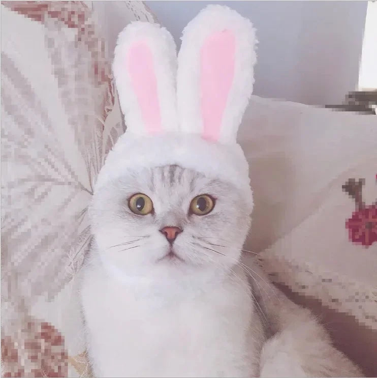 BunnyWhiskers Cozy Cat Hat