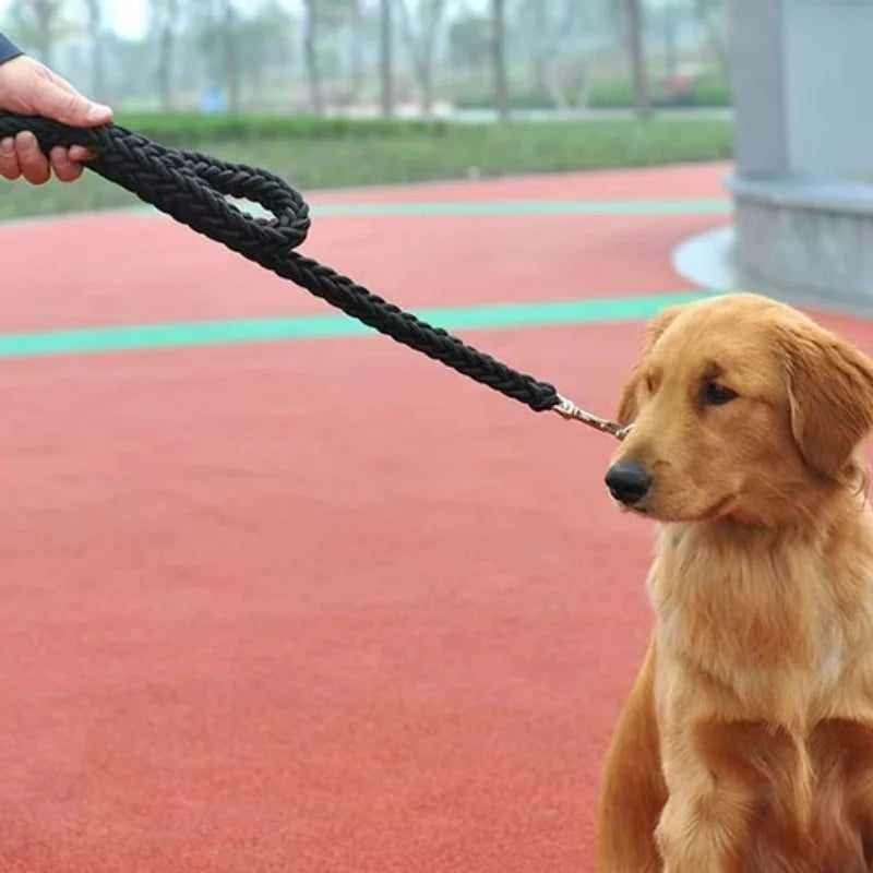 TrekTug Power Leash
