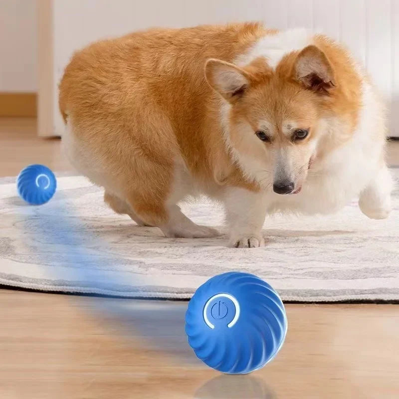BarkBolt – The Smart Rolling Wonder Ball