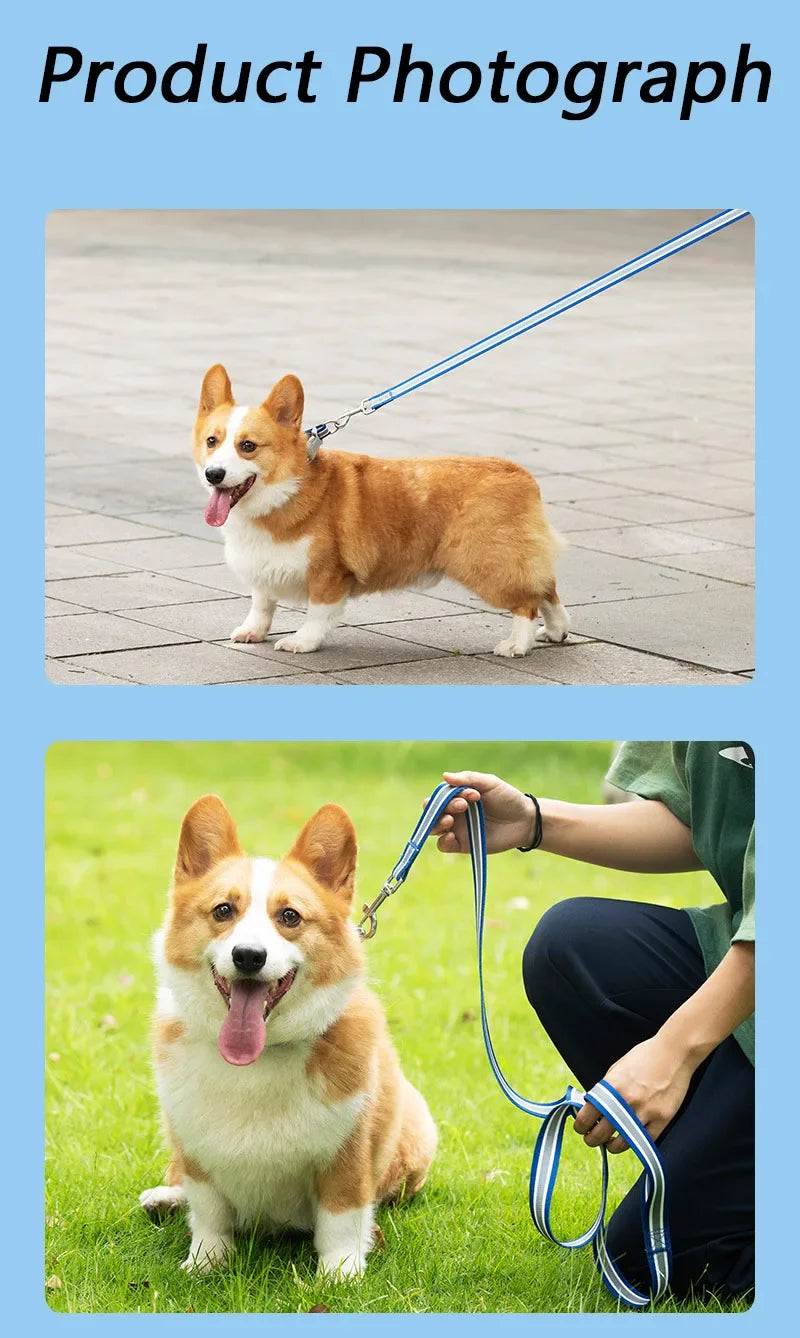 PrideStride Leash & Collar Set
