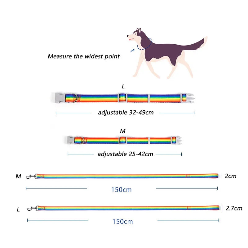PrideStride Leash & Collar Set