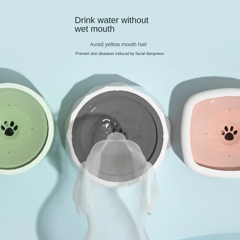 SipSavvy I Splash-Free Pet Hydration Bowl