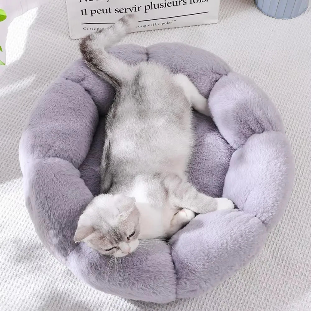 BloomNest Plush Pet Bed