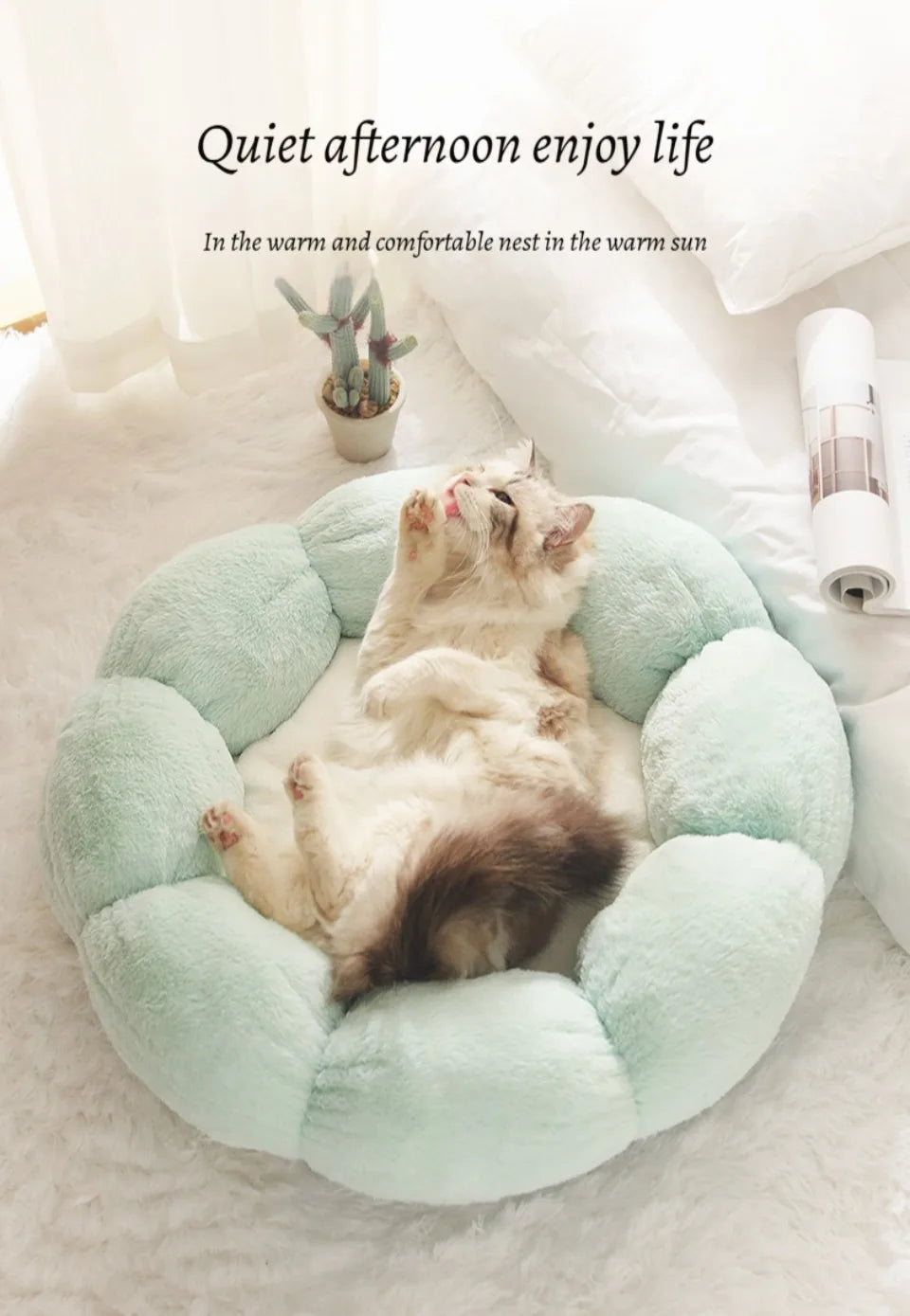BloomNest Plush Pet Bed