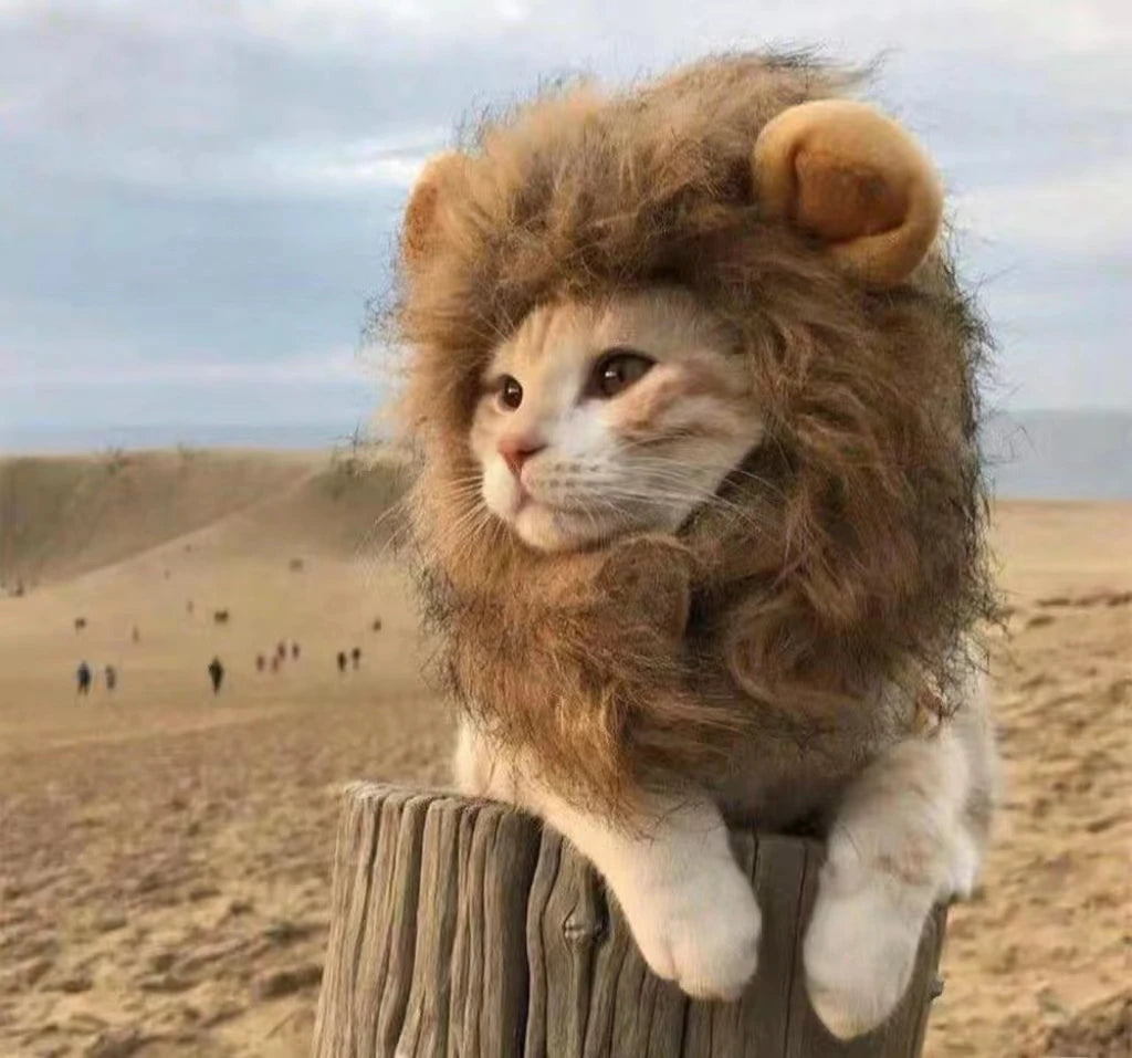 Roar & Purr Lion Mane Wig