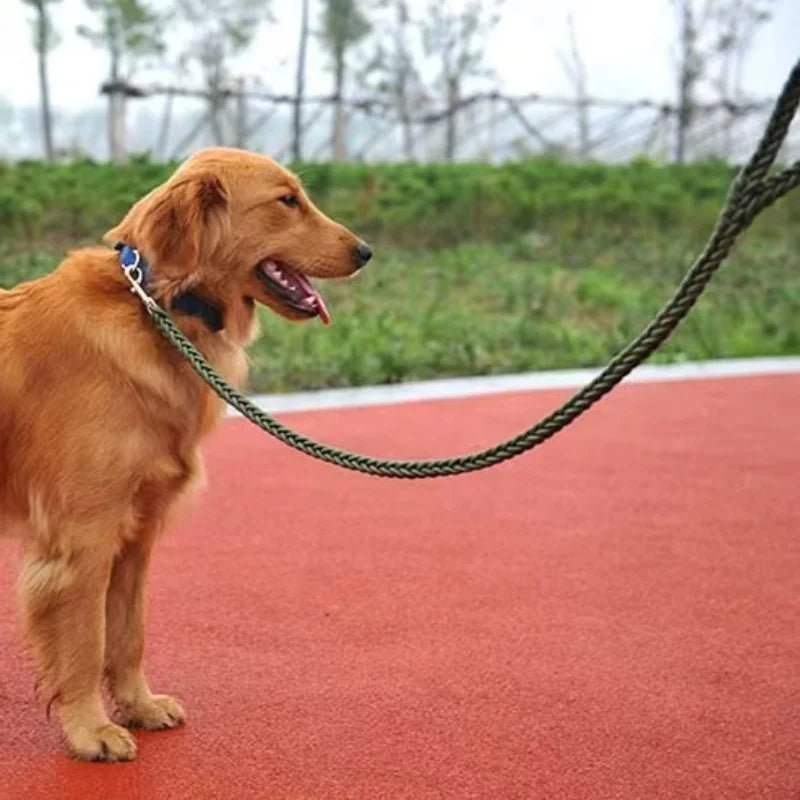 TrekTug Power Leash