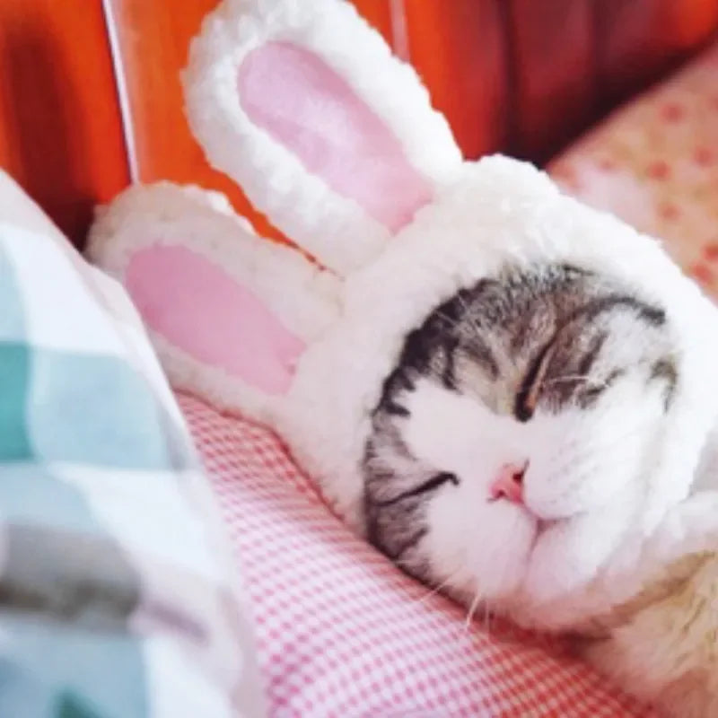 BunnyWhiskers Cozy Cat Hat