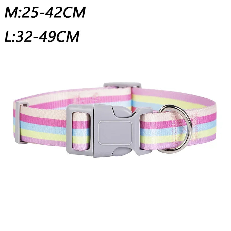 PrideStride Leash & Collar Set