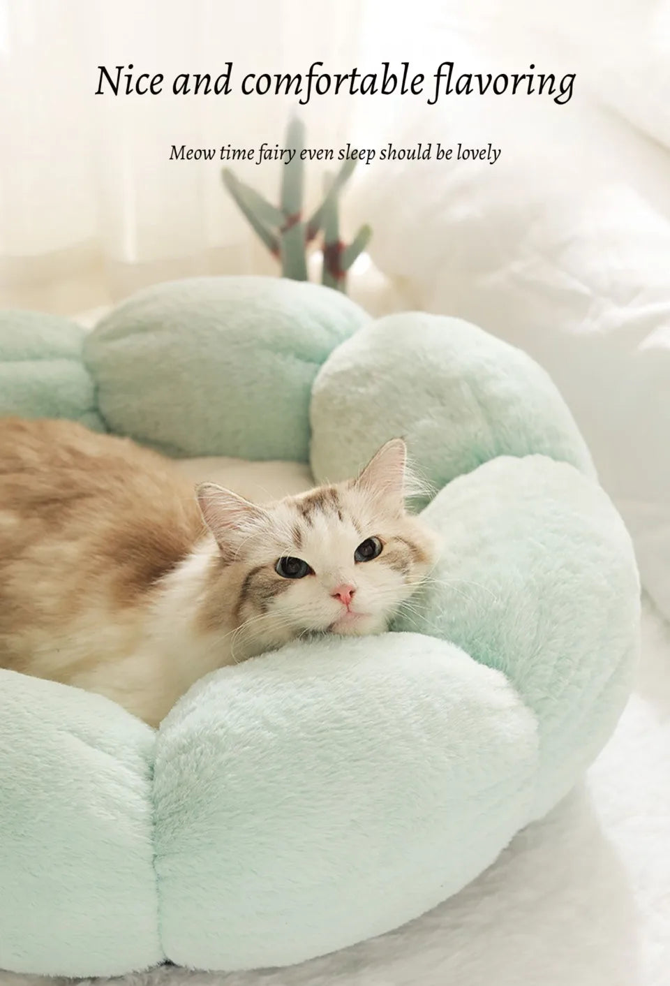 BloomNest Plush Pet Bed
