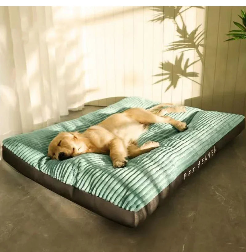 Plush Dog Bed